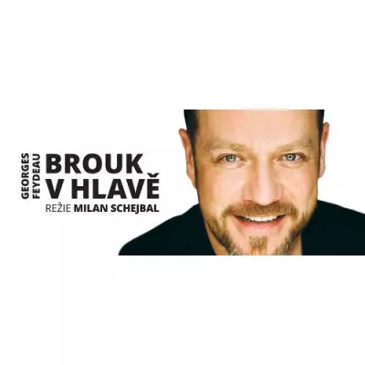 Avatar pro událost Brouk v hlavě - komedie - Studio DVA divadlo